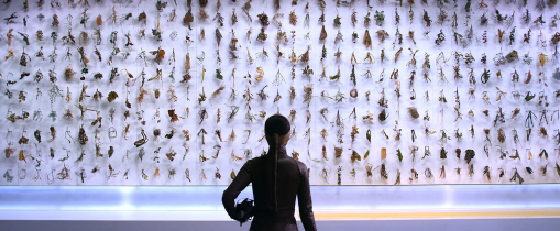 d22bf983342c95eb2045cf945d3b9053_1471419